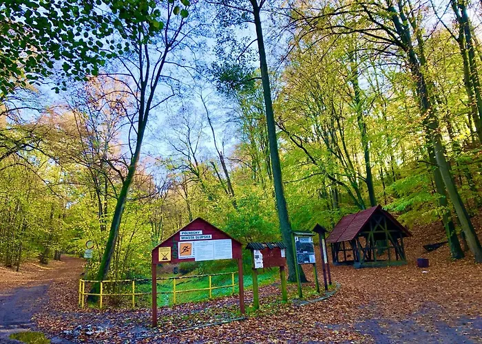 Slupski Premium Panoramic Nr8 Wifi Netflix Smart Tv55 Pelna Kuchnia Sypialnia Salon Kapielowy Dwuosobowa Wanna Tv W Lazience (adults Only)